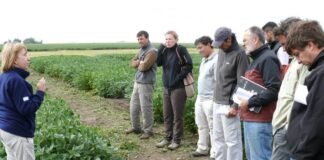 Mostraron los cultivos de gruesa en Barrow