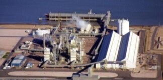 Basf y Profertil, innovación en conjunto