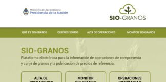Modificaciones en la carga de datos para el SIO GRANOS