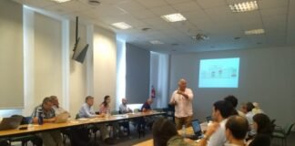 Pautas para elegir cultivares de trigo