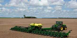 Mejora la diversificación de la gruesa en la región
