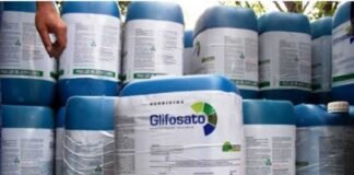 Para el “Senasa” europeo, el glifosato no causa alteraciones hormonales
