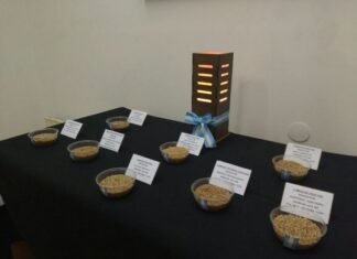 La Fiesta del Trigo tuvo los ganadores del concurso de muestras