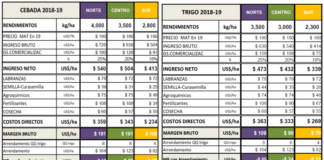 ¿Trigo o Cebada? Es hora de definiciones