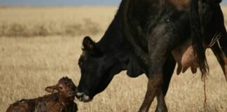 Actualizan categorías para demostrar la ausencia de las EET