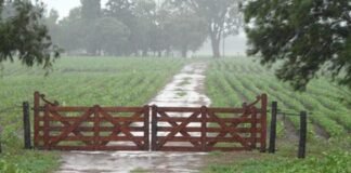 Nuevamente llovió en la región