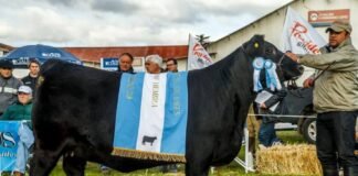 El Angus se hace Otoño en Bolívar