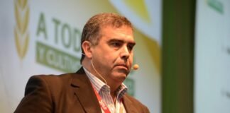 La Cebada y su mercado