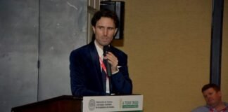 La política triguera y el posicionamiento de la marca trigo argentino