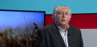 La firmeza del trigo local pierde fuerza hacia la próxima cosecha