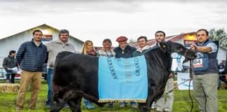 Busquet fue profeta en su tierra
