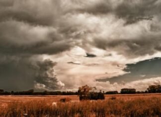 Se confirmó El Niño: oportunidades y riesgos para la campaña