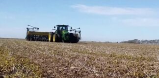 El Trigo a un nuevo récord en la zona núcleo
