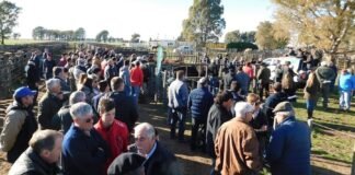 Un aniversario para cosechar buenos valores
