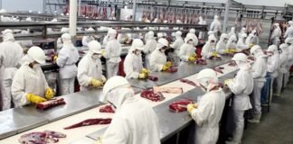 En el Mundial de la carne vacuna, Brasil gana por goleada