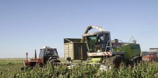 Se acerca la hora de las reservas forrajeras