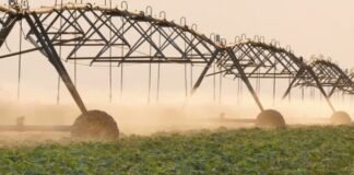 El riego puede generar más trabajo y de manera sustentable