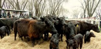 Santa Rosa aprobó su primer exámen