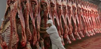La oferta mundial no alcanza y presiona a los precios
