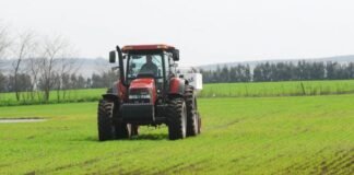 Agricultura asegura que no hay faltante de fertilizantes