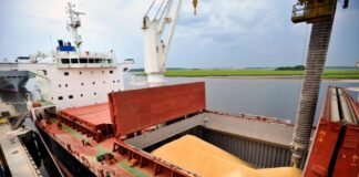 Ingresaron más de US$ 3.000 millones en lo que va del año