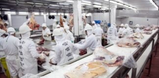 Carne Vacuna: como fueron los números de Abril