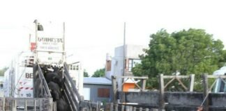 Rústicos despide el año con un Especial de Vientres