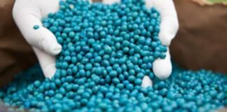 Calidad de Soja: ¿Es importante el uso de curasemillas?