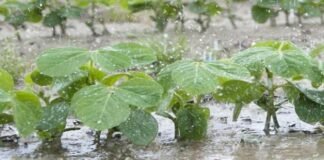 Vuelven las tormentas al país