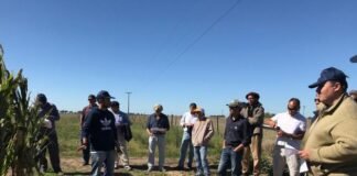 Jornadas a campo de gruesa en Coronel Suárez