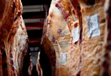 Cierre de Exportaciones: Un error conceptual difícil de argumentar