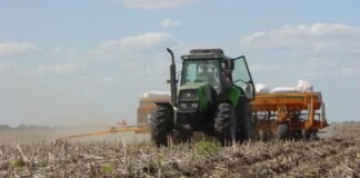 Cepo U$S: podría caer el trigo y quedar «out» maíz y soja