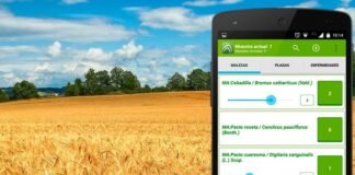 La APP que reemplazó a la «libretita»