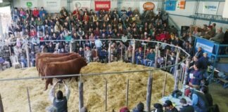 La Torcacita tuvo su 16º Venta Anual
