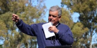 El Shorthorn se abre camino en Salliqueló
