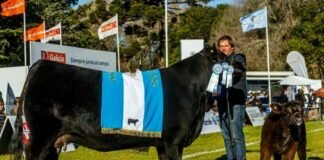 Arandú y Tres Marías los grandes ganadores de Balcarce