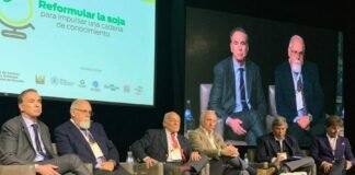 La Soja, el refugio del sector frente a la incertidumbre