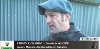 Entrevista a Carlos J. Colombo