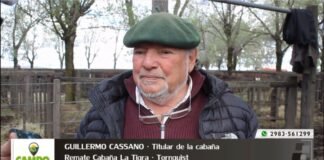 Entrevista a Guillermo Cassano