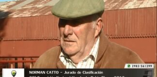 Entrevista a Norman Catto