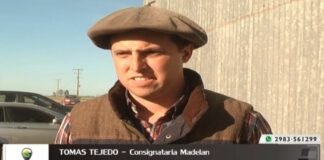 Entrevista a Med. Vet. Tomás Tejedo