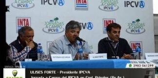 Entrevista a Ulises «Chito» Forte