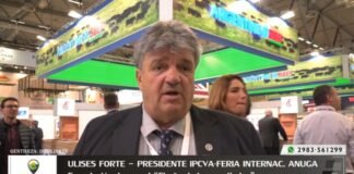 Entrevista a Ulises Forte