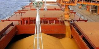 Sube el maíz por la escasez de granos