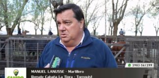 Entrevista a Manuel Lanusse