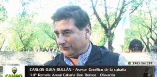 Entrevista a Carlos Ojea Rullán