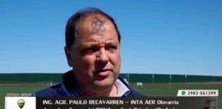 Entrevista a Ing. Agron. Paulo Recavarren
