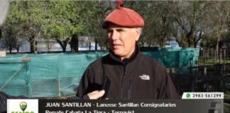 Entrevista a Juan Z. Santillán