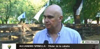 Entrevista a Alejandro Spinella