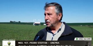 Entrevista a Med. Vet. Pedro Steffan